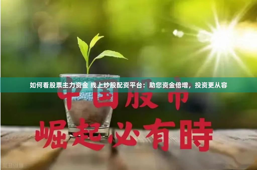 如何看股票主力资金 线上炒股配资平台：助您资金倍增，投资更从容