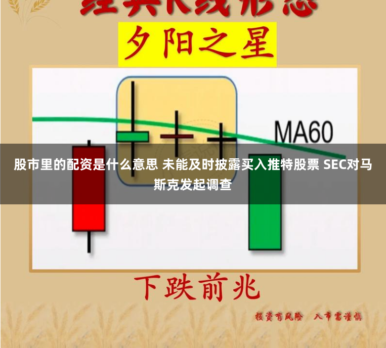 股市里的配资是什么意思 未能及时披露买入推特股票 SEC对马斯克发起调查